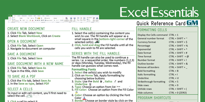 MS Excel Essentials 